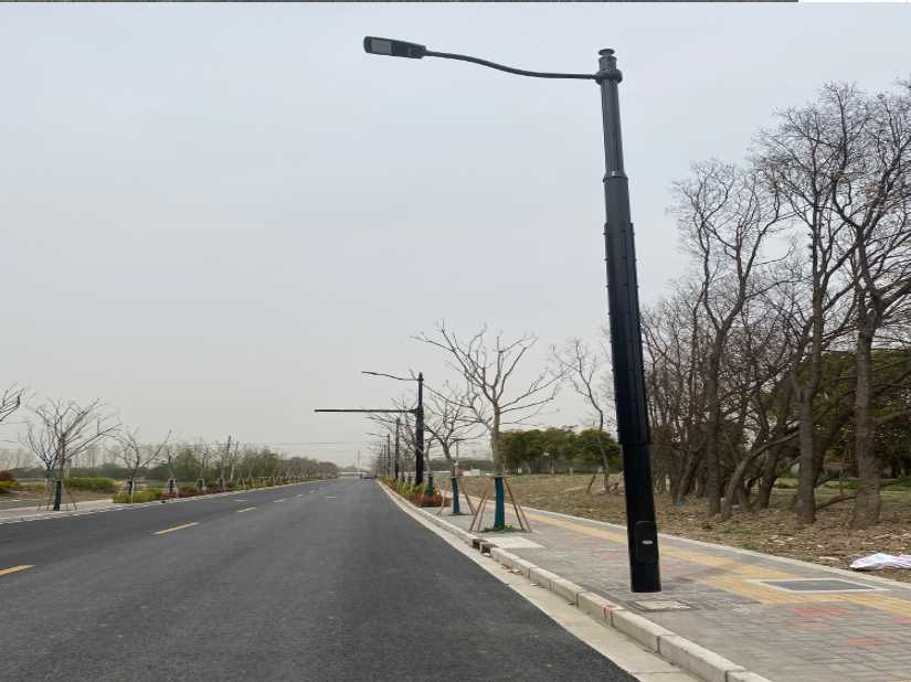 恩阳区上海综合杆 太阳能路灯工程